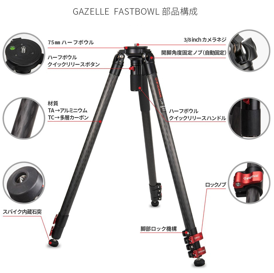 Gazelle series／Wild Bull | アサヌマネットショップ