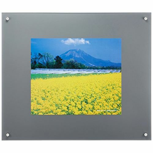 FUJICOLOR プロフレーム 特寸フリーL シルバー | アサヌマネットショップ