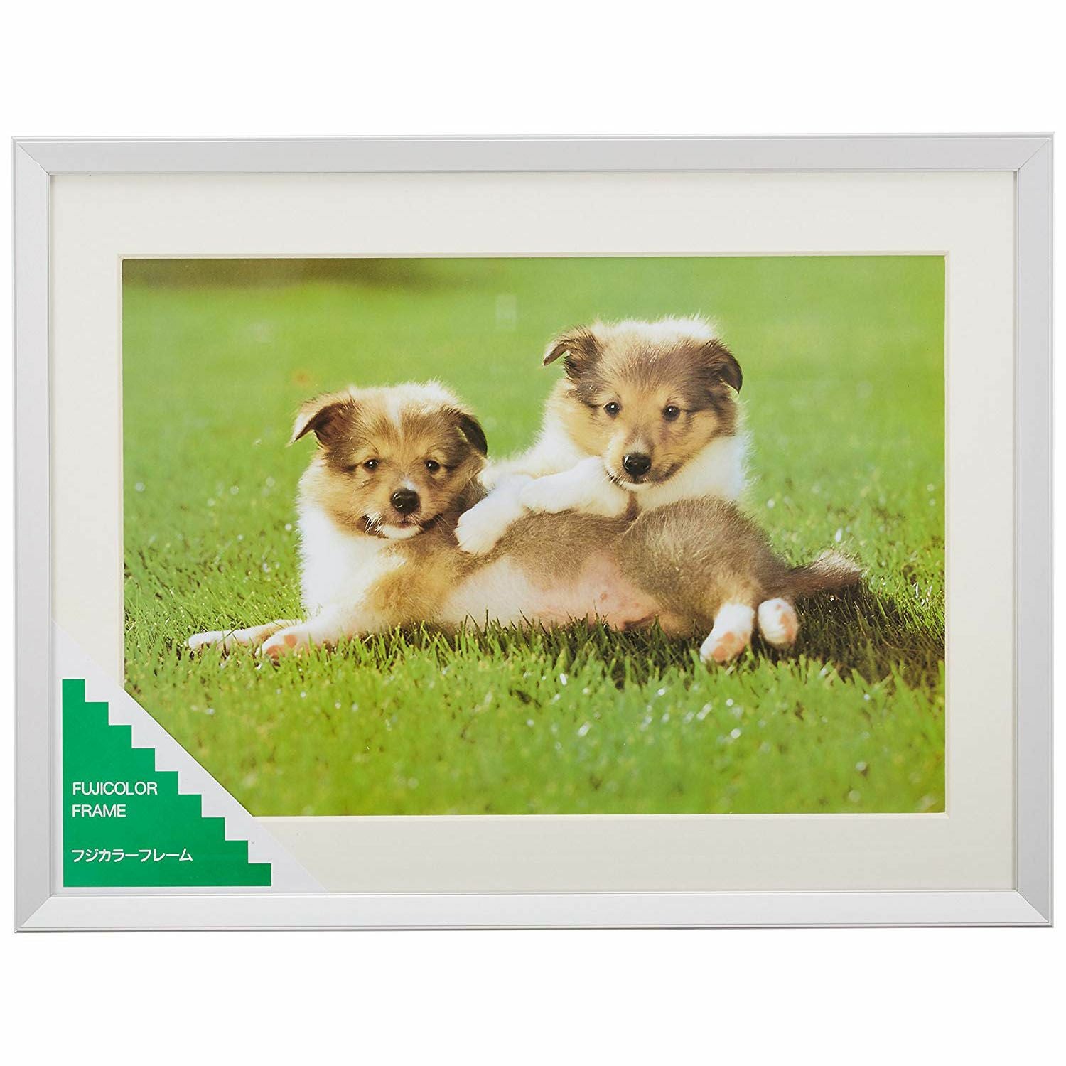 FUJICOLOR アルミ額縁 YA-5 ワイド4切 シルバー | アサヌマネットショップ