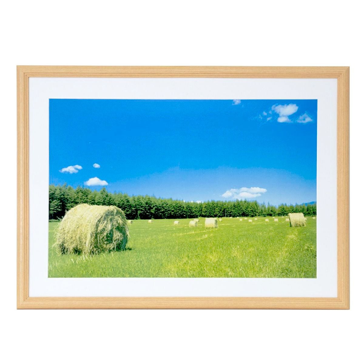 額縁 Jcozy 額 『横長額 300×150 グリーン 6701(MZ)』 画材・文具,額| ホビー材料
