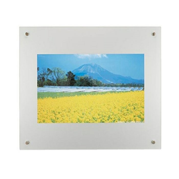 FUJICOLOR プロフレーム A4 ブラック | アサヌマネットショップ