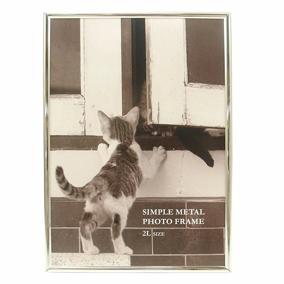 FUJICOLOR メタルフォトスタンド 5401K | アサヌマネットショップ