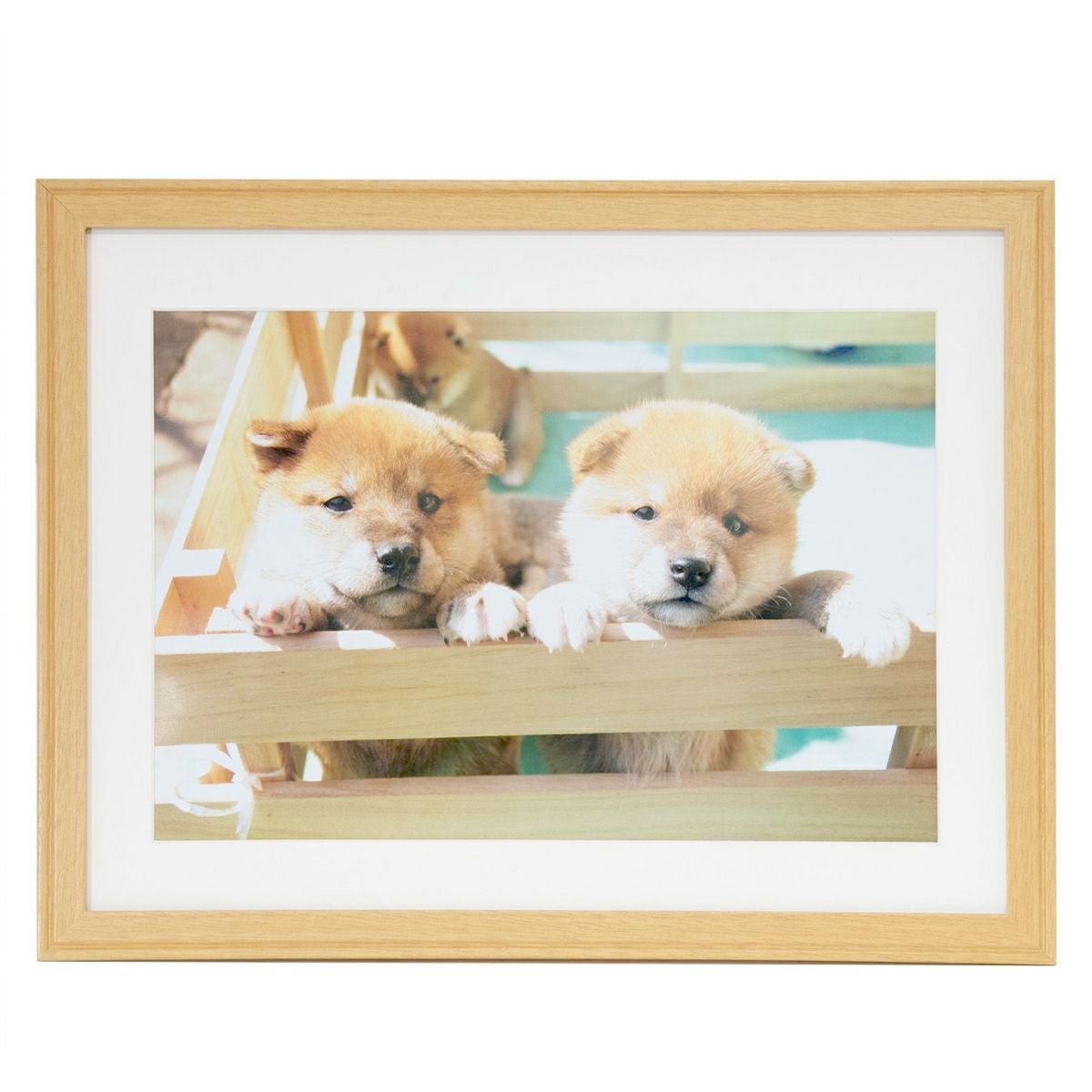 Nissy CD 9枚セット フォトフレーム PHOTOISM X Nissy ARTIST FRAME OPEN! Nissy（西島隆弘）の全国6大