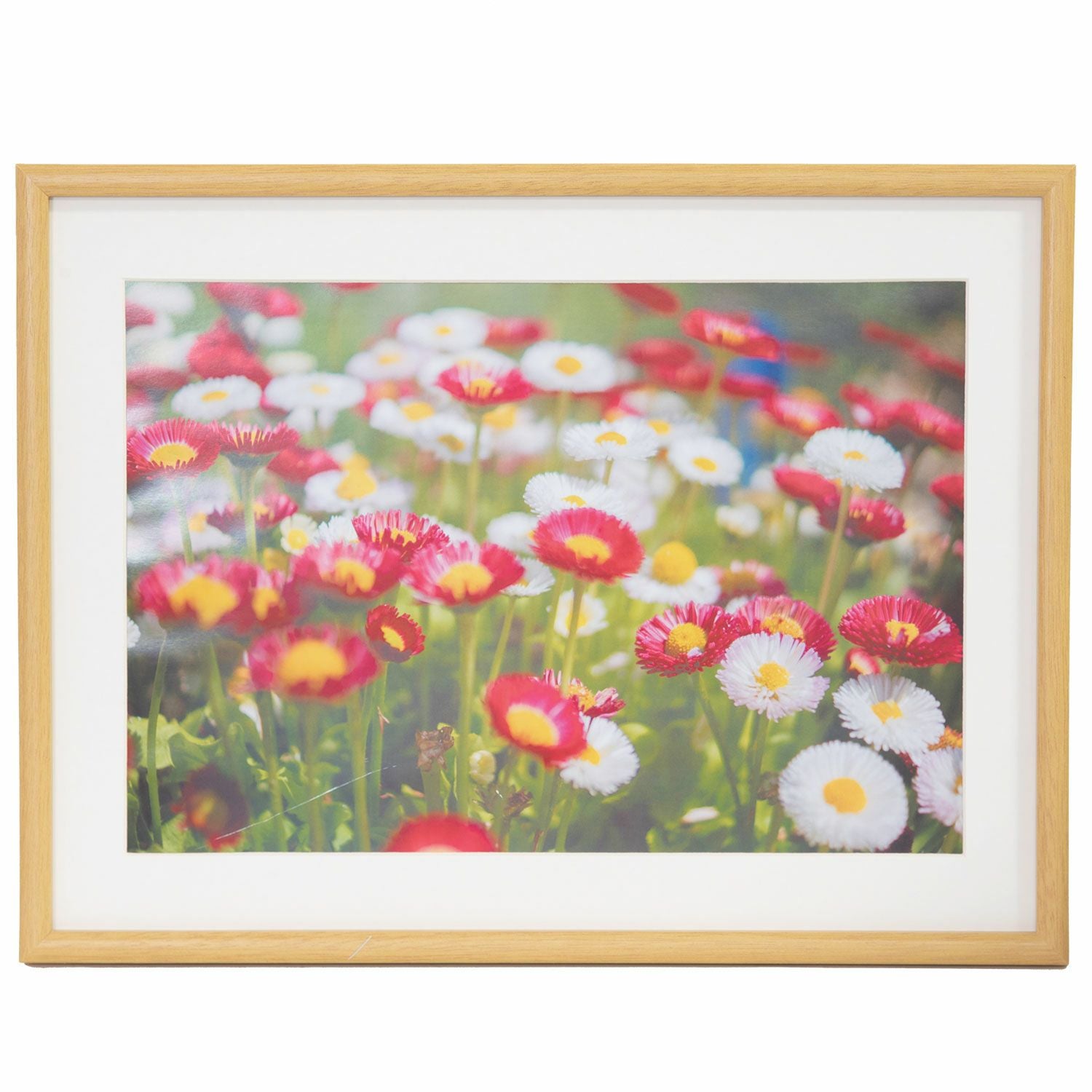 FUJICOLOR 木製額縁 YM-3 木地 アクリル ワイド4切 | アサヌマネット