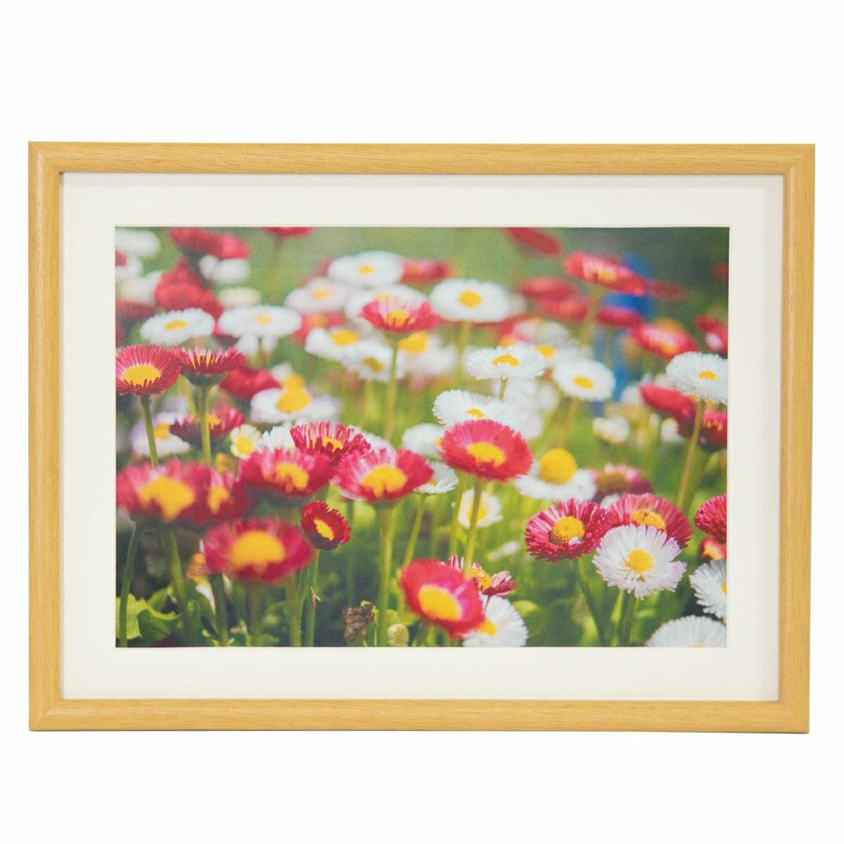 アウトドア版画 木製フレーム付き　M&M FUJICOLOR 木製額縁 M20 A4 | アサヌマネットショップ