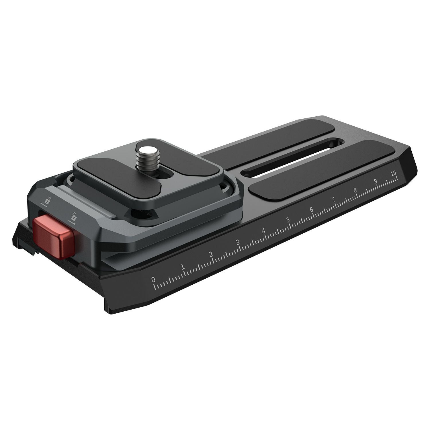 IFOOTAGE Seastars Q38 RS セット | アサヌマネットショップ